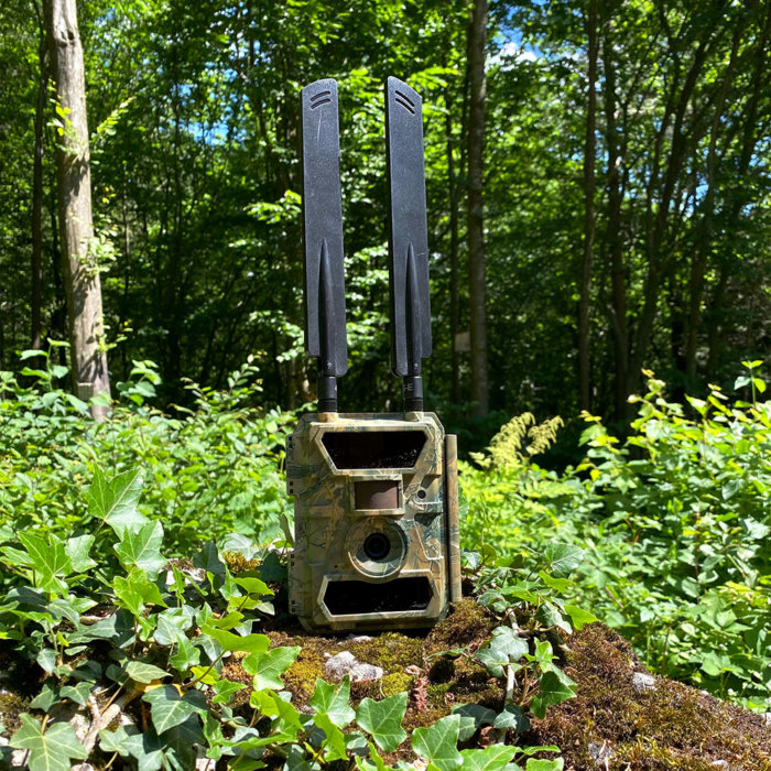 TRAILCAM XRange - 4G LTE Wildkamera - 100° Weitwinkel – Bild 2