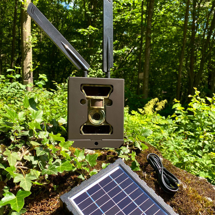 TRAILCAM Diebstahlschutz – Bild 2